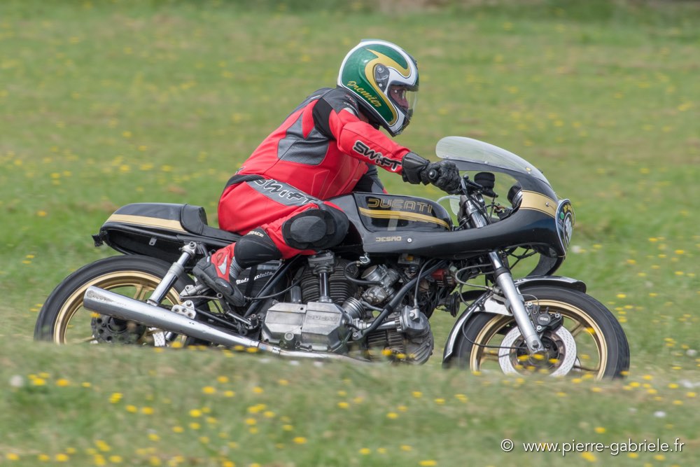 coyotes-dimanche-d500_6991.jpg