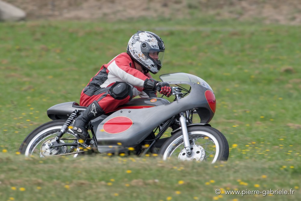 coyotes-dimanche-d500_6992.jpg
