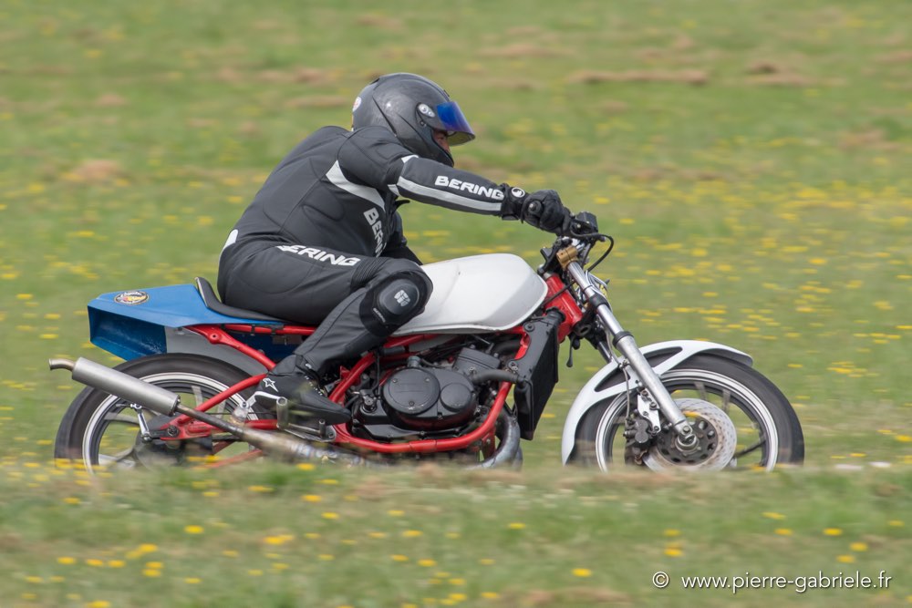 coyotes-dimanche-d500_7015.jpg