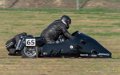 side-moderne-g92_6587