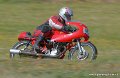coyotes-2006_1976