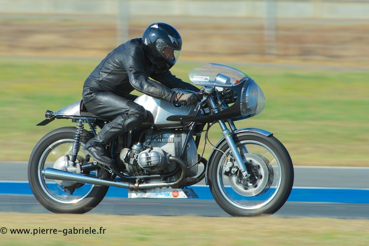 coyotes-2013-dimanche_1964.jpg
