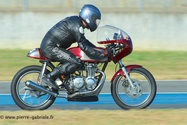 coyotes-2013-dimanche_1967.jpg