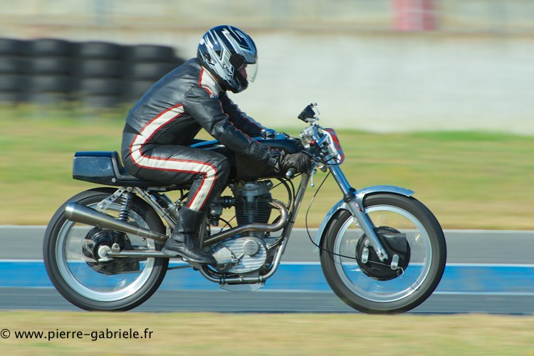 coyotes-2013-dimanche_1969.jpg