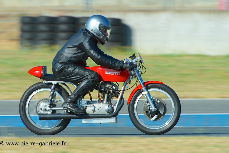 coyotes-2013-dimanche_1971.jpg