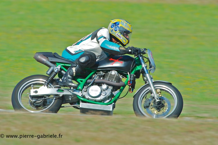 coyotes-2013-dimanche_2028.jpg