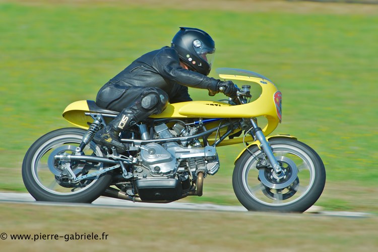 coyotes-2013-dimanche_2036.jpg