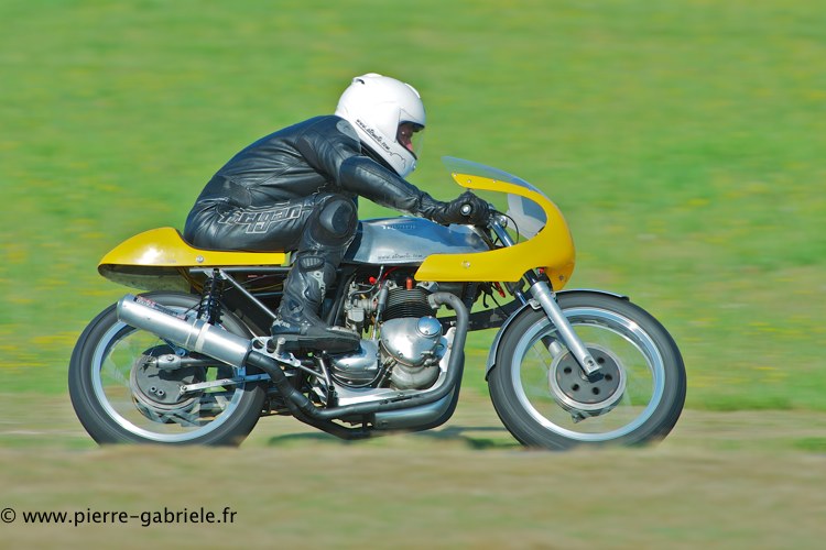 coyotes-2013-dimanche_2052.jpg