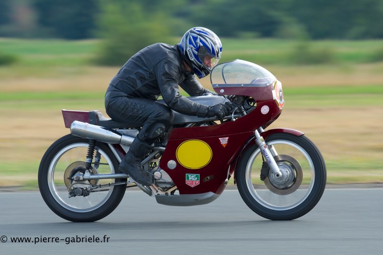 coyotes-2013-samedi_1519.jpg
