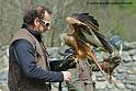 franck_1221