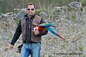franck_1282