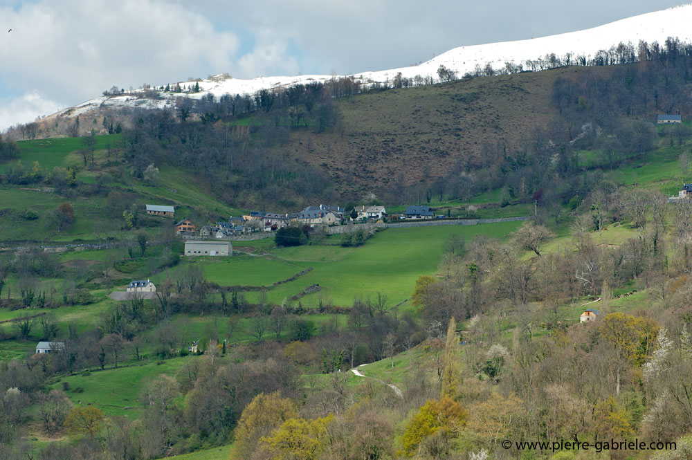 paysage_1156.jpg