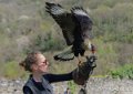 caracara-gh6_0106
