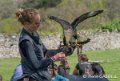 caracara-gh6_0107