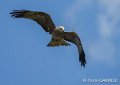 milan-royal-gh6_0128