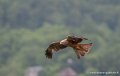 milan-g93_9452