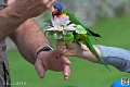 lori_4151