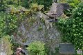 vautour_4124