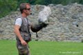 francois_3308