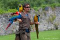 jloup_3380