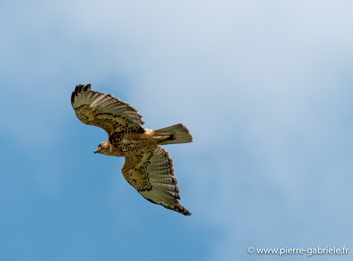 buse-3couleurs-g92_5208.jpg