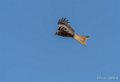 milan-gh6_3419