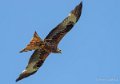 milan-gh6_3421