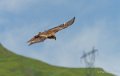 milan-gh6_3422