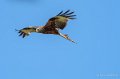 milan-gh6_3423