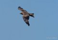 milan-gh6_3456