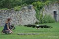 helia-pygargue-gh6_5620