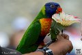 lori_5884