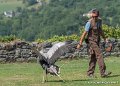 jloup-serpentaire-g91_7115