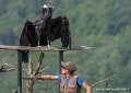 stagiaire-condor-g93_2644