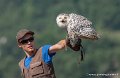 stagiaire-harfang-g93_2621