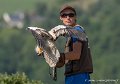 stagiaire-percnoptere-g93_2577