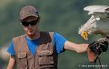 stagiaire-percnoptere-g93_2596