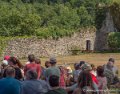 gypaete-g91_0709