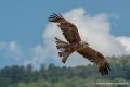 milan-g91_0619
