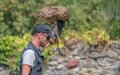 fauconnier-a74_06449