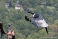 condor-d500_8585