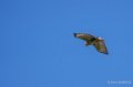 buse-ga74_00223