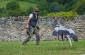 francois-serpentaire-a73_0105