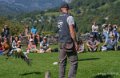 fauconnier-a74_07493