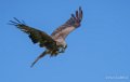 milan-a74_07556