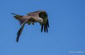 milan-a74_07557