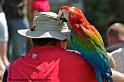 chapeau_9808