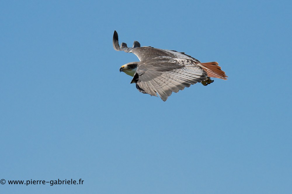 buse-des-augures_0782.jpg
