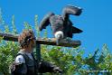 condor_2811