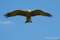 milan_2464